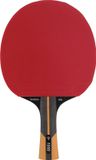 Dunlop Tafeltennisbat DUNLOP EVOLUTION 1000