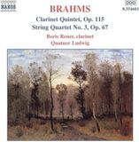 Outhere Naxos Quatuor Ludwig, Boris Rener - Brahms: Clarinet Quintet | String Quartet (CD)