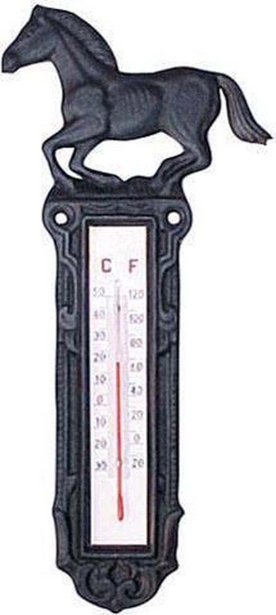 HKM Thermometer Groot