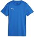 Puma Dames-shirt Teamgoal Jersey Wmn 658638