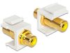 DeLOCK 86309