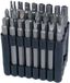 BGS 762 | bitset | 32-delig | lang | Aandrijving buitenzeskant 6,3 mm (1/4") | verschillende profielen | incl. houder
