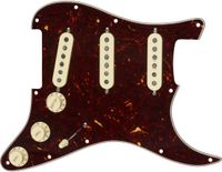 Fender Pre-Wired Strat PG Custom Shop Texas Special SSS Tortoise