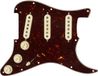 Fender Pre-Wired Strat PG Custom Shop Texas Special SSS Tortoise
