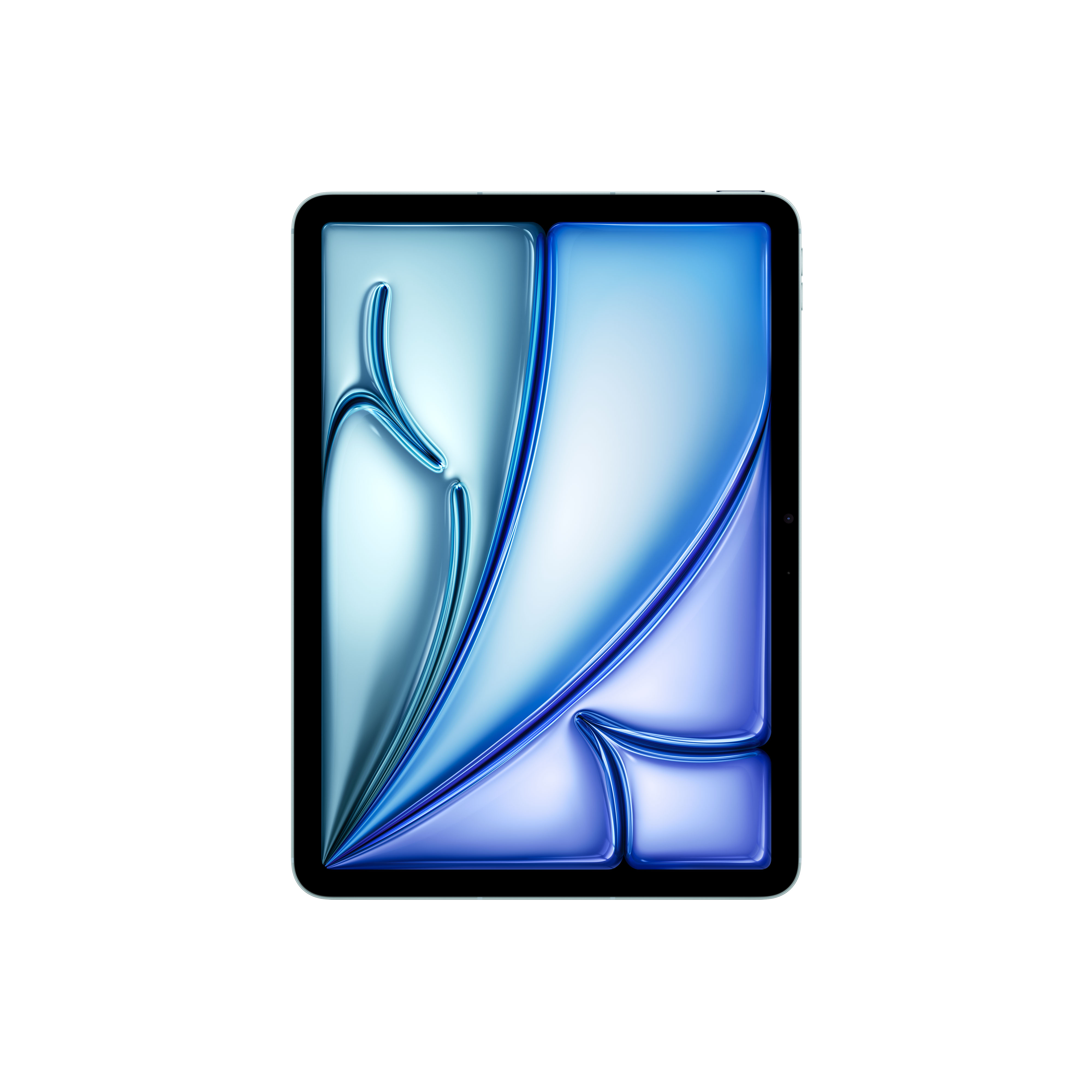 Apple iPad  / 256 GB / Blauw