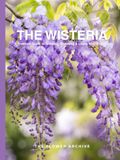 THE WISTERIA A Practical Guide to Growing, Choosing & Living With Wisterias: A Large Decorative Hardcover Coffee Table Book and Curated Flower Archive ... Facts, Variety Profiles, and Insights