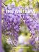 THE WISTERIA A Practical Guide to Growing, Choosing & Living With Wisterias: A Large Decorative Hardcover Coffee Table Book and Curated Flower Archive ... Facts, Variety Profiles, and Insights