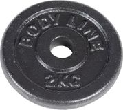Bodyline Gietijzeren schijf van 2 kg