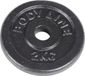 Bodyline Gietijzeren schijf van 2 kg