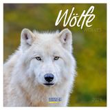 Korsch Verlag Wolves kalender - 2026