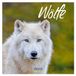 Korsch Verlag Wolves kalender - 2026