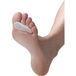 Silicoplant Pod 700 Souris Taille S 1 Unité