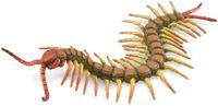 Collecta Figurine - Duizendpoot - (L) - Insecten - Handgeschilderd - Miniatuur