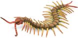 Collecta Figurine - Duizendpoot - (L) - Insecten - Handgeschilderd - Miniatuur
