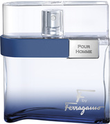 Salvatore Ferragamo F by Ferragamo eau de toilette / 100 ml / heren