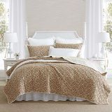 Laura Ashley Lichtgewicht katoenen beddengoed met bijpassende sham(s), vintage bloemen geïnspireerd woondecoratie met effen achterkant, gebrand oranje, Twin
