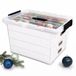 Relaxdays boîte de rangement pour boules de Noël, 125 boules, transparent