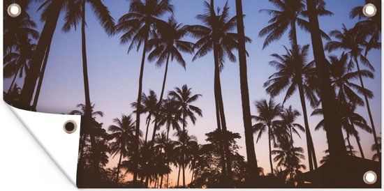 GreatGardenPosters Tuinposter - Palmboom - 200x100 cm - Zomer - Tuindoek