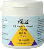 Holisan Vitamine B5 Acide pantothénique 500mg