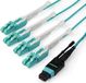 StarTech Câble fibre optique 3 mètre MPO/MTP vers 4x LC - 40G