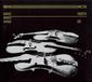 Music&Words Rosa Botnen (DVD)