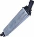 Valeo Intercooler, Refroidisseur d'air d'admission 818326 | Compatible avec : AUDI A6 C6, A6 C6 Avant