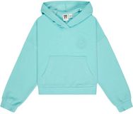 Roxy Surfing By Daylight Rg Hoodie Aqua Splash Meisjes Katoen Lange Mouw Regular Fit
