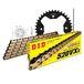 Kettingset DID Kettingset staal 520VX3 / 94 clipslot voor Polaris Predator Troy Lee E LE 500 cc