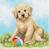 PANNA JK-2123 platsteekset, meerkleurig, 12 x 12 cm