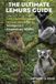 The Ultimate Lemurs Guide