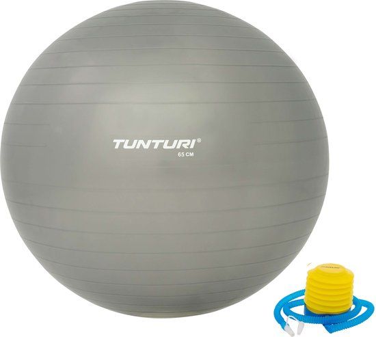 Tunturi Gymball - 65cm - Zilver - Incl. pomp & fitness app