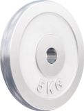 Gorilla Sports Gewichtsschijf - Halterschijf - 5 kg - Chroom - 30 mm
