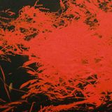 Bertus Distributie Anthony Naples - In Studio Magic (LP)