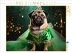 CALVENDO Puzzel Pug draagt Elegante groene avondjurk met sieraden en kroon | 1000 stukjes legformaat 64 x 48 cm foto-puzzel voor gelukkige uren