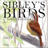 Sibley's Birds of America 2027 Wall Calendar
