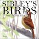 Sibley's Birds of America 2027 Wall Calendar