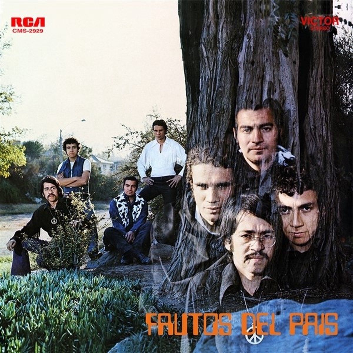 Sonic Rendezvous Frutos Del Pais - Frutos Del Pais (LP)