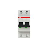 ABB S202 C13 Automatische schakelaar 6 KA 2P