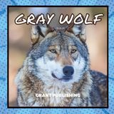 Gray Wolf: Wildlife Books for Kids