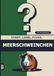 Stadt, Grübelgold Stadt, Land, Fluss, Meerschweinchen