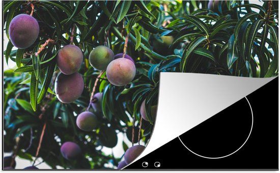 KitchenYeah® Inductie beschermer 77x51 cm - Mango - Boom - Paars