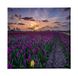 Homemania Afbeelding bloemen natuur en landschappen voor woonkamer, slaapkamer, meerkleurig, 60 x 3 x 60 cm, HM20KNV60 x 60 – 202, polyester, hout