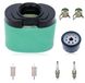 Briggs & Stratton Kit filtre à air pour tondeuses - Remplacement 792105