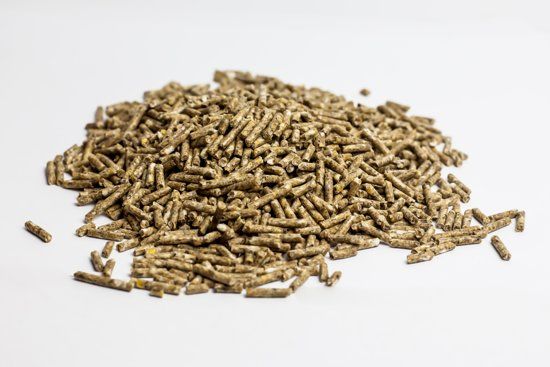 Voervoorkip Kuikenkorrels 20KG