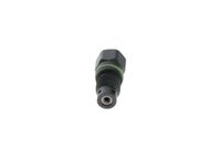 BOSCH F 01M 101 502 Gicleur, injection