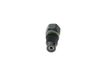 BOSCH F 01M 101 502 Gicleur, injection