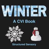 The Winter CVI Book