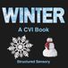 The Winter CVI Book