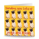 Maturi Grappige verjaardagskaart "Sending Pugs & Kisses" - blanco binnenkant - 15,5 x 15,5 cm