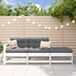 Prolenta Maison Exclusive - 3-delige loungeset voor de tuin met kussens, wit, massief hout